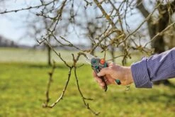 Gardena Expertcut Snoeischaar -Gardena Verkoopwinkel 970475401 3 GARDENA20EXPERTCUT20SNOEISCHAAR