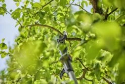 Gardena Accu-telescooptakkenschaar Solo 9 Gardena Accu-telescooptakkenschaar Solo -Gardena Verkoopwinkel 970632601 3 Gardena20Accu Telescoop20Takkenschaar20Solo