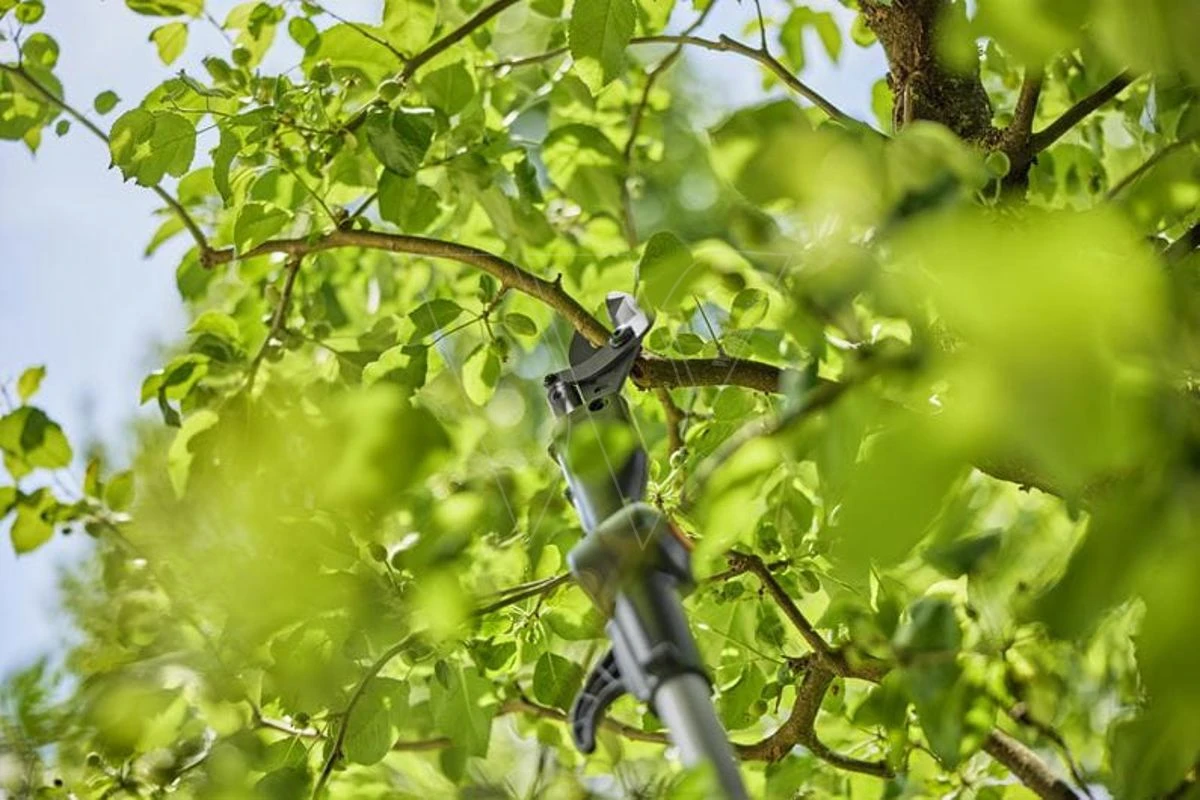 Gardena Accu-telescooptakkenschaar Solo 5 Gardena Accu-telescooptakkenschaar Solo - Afbeelding 3