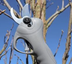 Talen Tools Accu Snoeischaar Prof ø25mm -Gardena Verkoopwinkel EF191 4 TALEN20TOOLS2020ACCU20SNOEISCHAAR20PROF20C39825MM