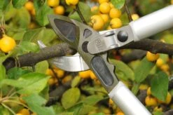 Felco 231 Takkenschaar 5 Felco 231 Takkenschaar -Gardena Verkoopwinkel FELCO2023120 202