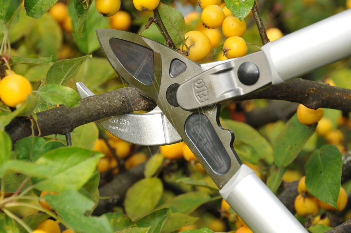 Felco 231 Takkenschaar 4 Felco 231 Takkenschaar - Afbeelding 2