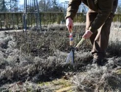 Okatsune Buxusschaar 217 Korte Greep -Gardena Verkoopwinkel KST217 3 Okatsune20Buxusschaar2021720Korte20Greep