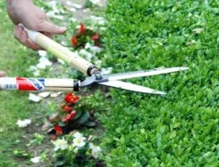 Okatsune Buxusschaar 217 Korte Greep -Gardena Verkoopwinkel KST217 4 Okatsune20Buxusschaar2021720Korte20Greep