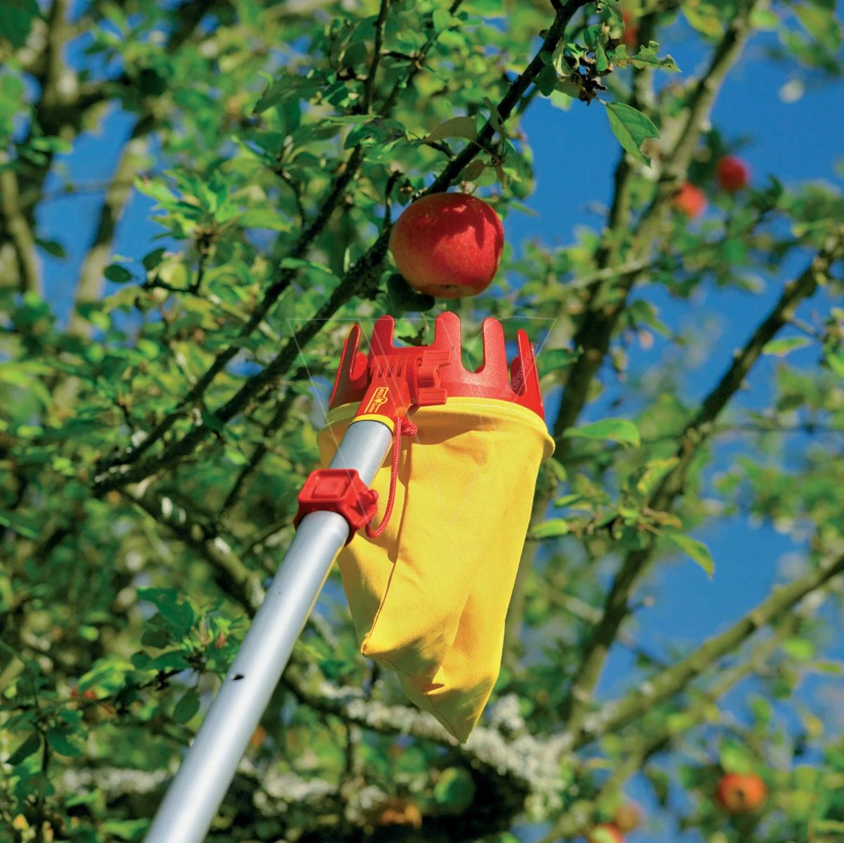 Wolf Multi-star Fruitplukker Vario 4 Wolf Multi-star Fruitplukker Vario - Afbeelding 2