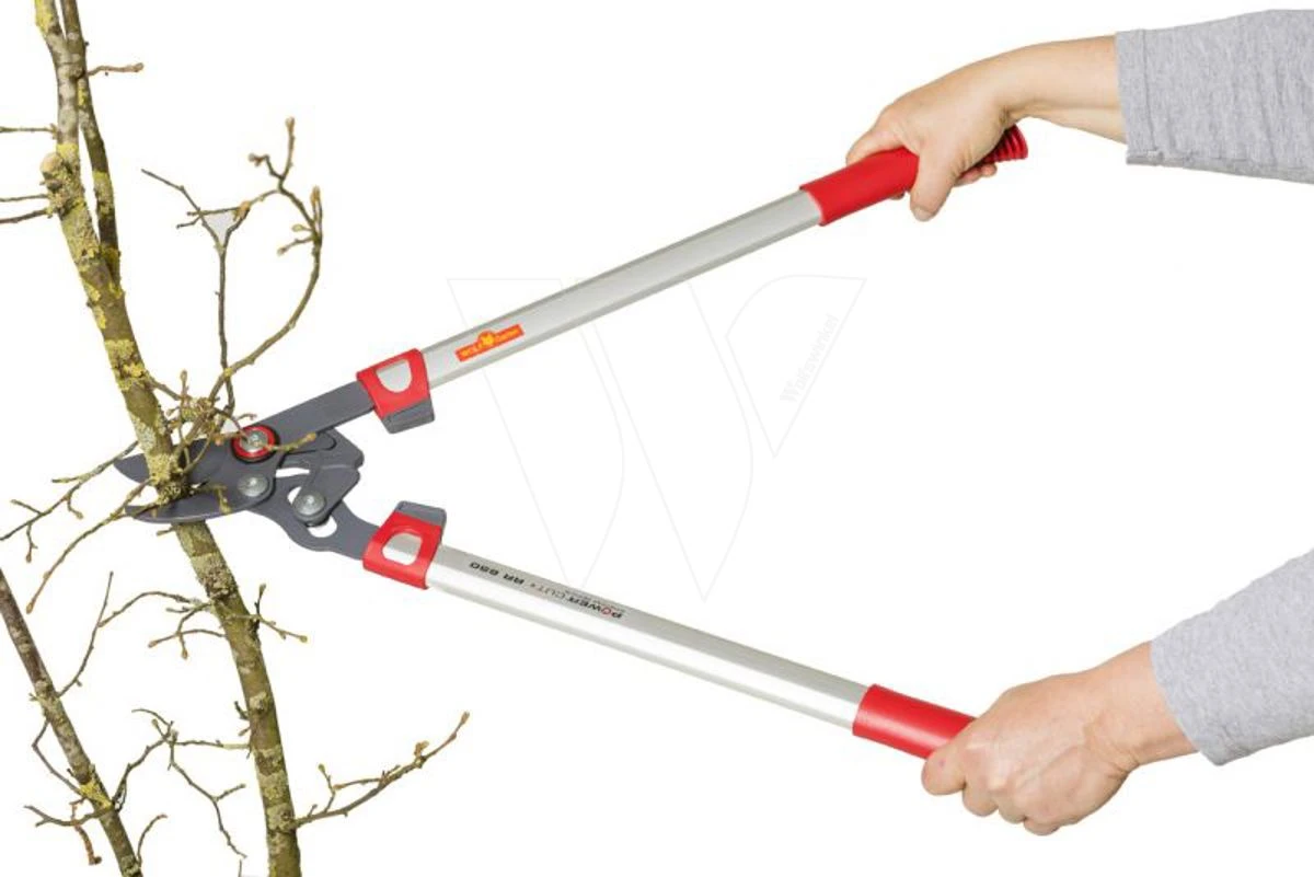 Wolf Rr 650 Power Cut Takkenschaar 65cm 6 Wolf Rr 650 Power Cut Takkenschaar 65cm - Afbeelding 4