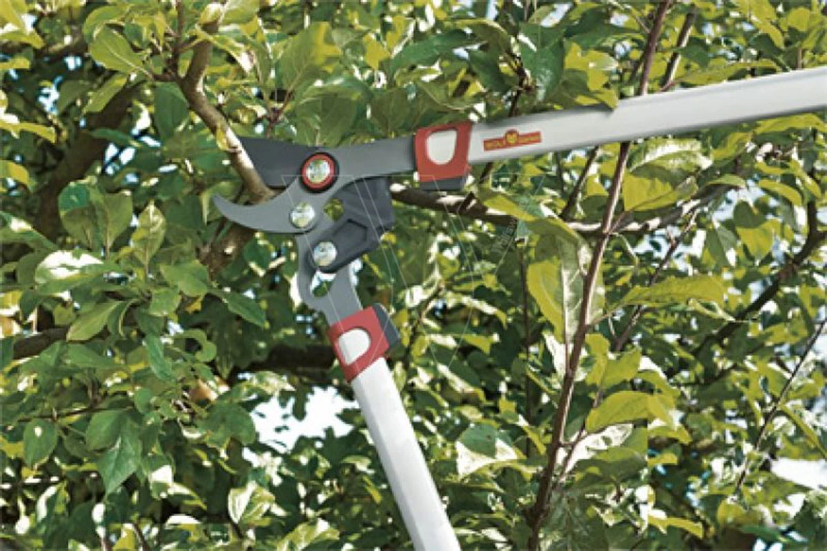 Wolf Rr 650 Power Cut Takkenschaar 65cm 7 Wolf Rr 650 Power Cut Takkenschaar 65cm - Afbeelding 5