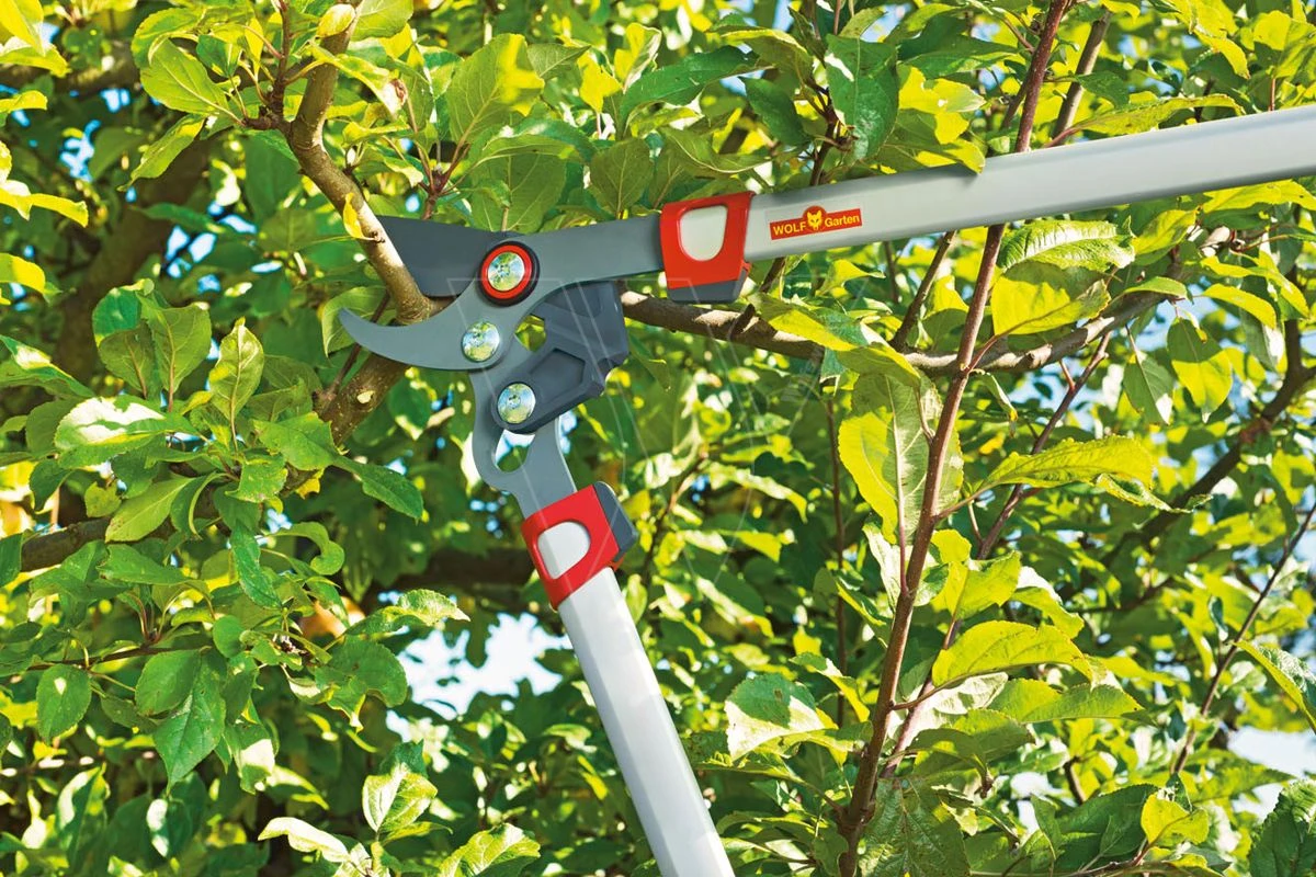 Wolf Rr 750 Power Cut Takkenschaar 75cm 7 Wolf Rr 750 Power Cut Takkenschaar 75cm - Afbeelding 5