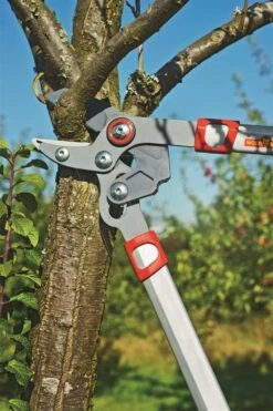 Wolf Rs 650 Powercut Takkenschaar 65cm -Gardena Verkoopwinkel RS650 4 WOLF20RS65020POWERCUT20TAKKENSCHAAR202065CM