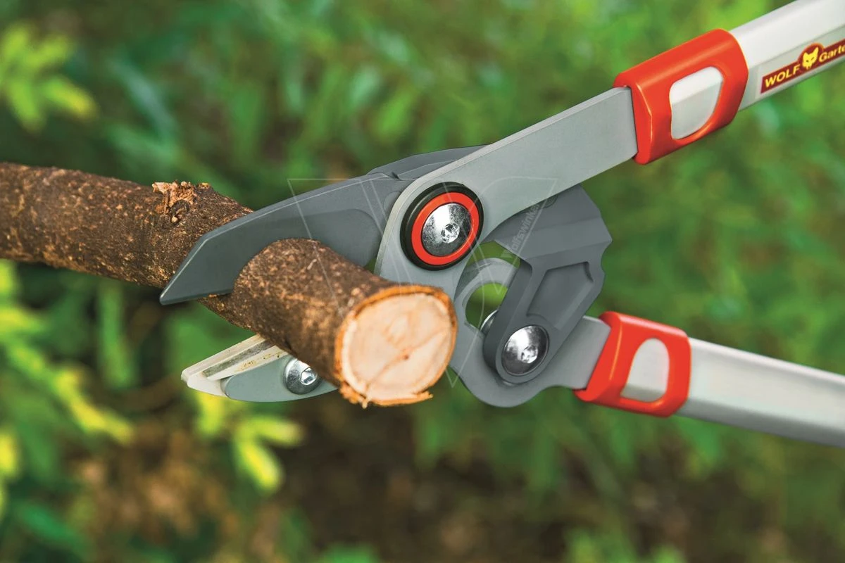 Wolf Rs 750 Powercut Takkenschaar 75cm 7 Wolf Rs 750 Powercut Takkenschaar 75cm - Afbeelding 5