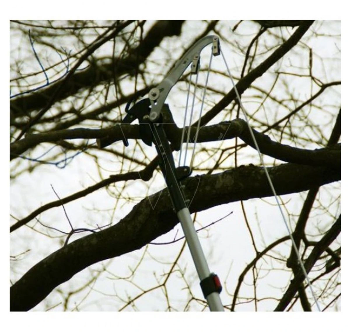 Silky Hayauchi Zaag 630 + Sintung Schaar 10 Silky Hayauchi Zaag 630 + Sintung Schaar - Afbeelding 8