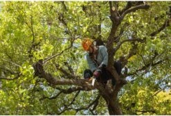 Silky Sugoi Boomverzorging Zaag 33 Cm -Gardena Verkoopwinkel SUGOI330 5 SILKY20SUGOI20BOOMVERZORGING20ZAAG203320CM